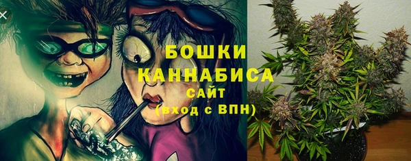 метадон Михайлов