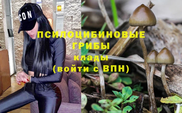 метадон Михайлов