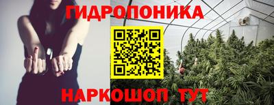 прущая мука Кимры