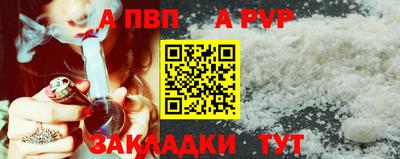 герыч Кингисепп